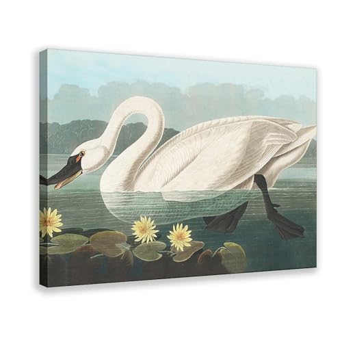 BAJHTGHG Leinwand-Poster, Motiv: Vögel von Amerika, Wandkunstdruck, Bild, Gemälde, 20 x 30 cm BAJHTGHG Leinwand-Poster, Motiv: Vögel von Amerika, Wandkunstdruck, Bild, Gemälde, 20 x 30 cm von BAJHTGHG