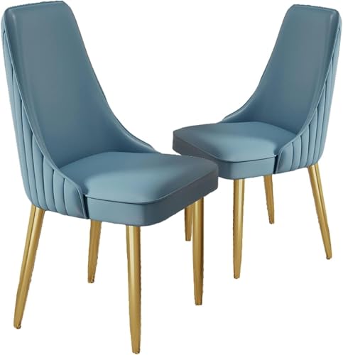 BAKULI Esszimmerstühle 2er Set Akzentstühle PU Leder Metallbeinen for Büro Lounge Esszimmer Küche Schlafzimmer(D) von BAKULI