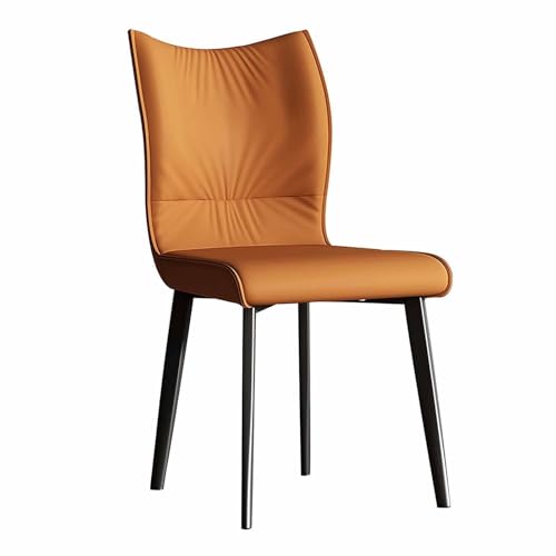 BAKULI Esszimmerstühle 2er Set Freizeitstuhl Aus Metall for Wohnzimmer Schlafzimmer Küche Industrielle Esszimmerstühle(A) von BAKULI