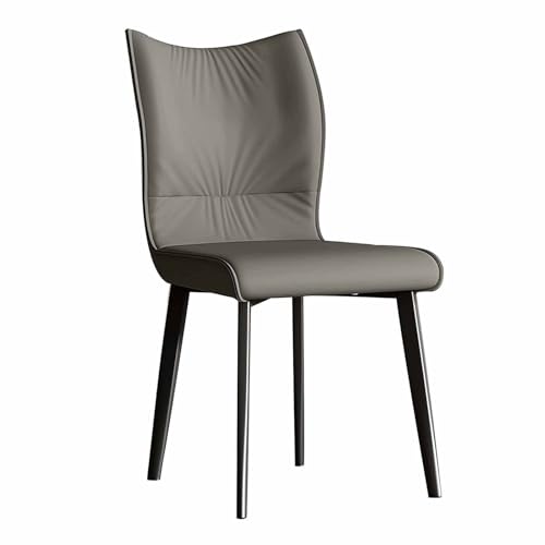BAKULI Esszimmerstühle 2er Set Freizeitstuhl Aus Metall for Wohnzimmer Schlafzimmer Küche Industrielle Esszimmerstühle(B) von BAKULI