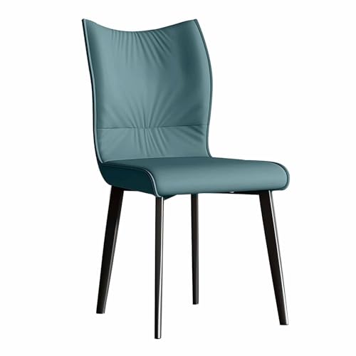 BAKULI Esszimmerstühle 2er Set Freizeitstuhl Aus Metall for Wohnzimmer Schlafzimmer Küche Industrielle Esszimmerstühle(D) von BAKULI