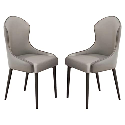 BAKULI Esszimmerstühle Aus Mikrofaser Leder 2er Set Stühle for Küche Wohnzimmer Lounge Theke Stabile Metallbeine Aus Karbonstahl(Light Grey+Dark Grey) von BAKULI