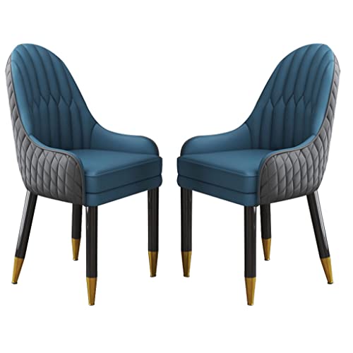 BAKULI Esszimmerstuhl Mit Holzbeinen 2er Set Mikrofaser Leder for Küche Wohnzimmer Lounge Thekenstühle(Cement Gray+Lake Blue) von BAKULI