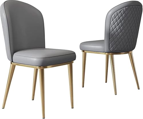 BAKULI Moderne Esszimmerstühle for Zuhause 2er Set Wohnzimmer Eckstühle for Die Küchentheke Goldenen Metallbeinen(Gray) von BAKULI