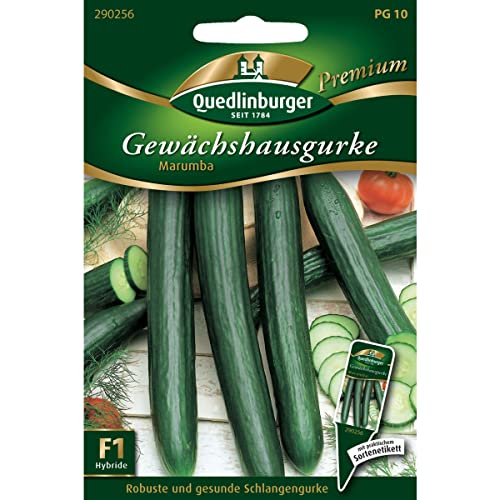 Gewächshaus-Gurke "Marumba",1 Portion von Quedlinburger