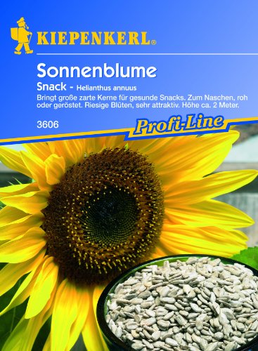 Sonnenblume 'Snack', 1 Tüte Samen von Kiepenkerl