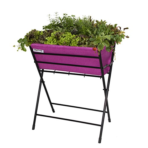 BALDUR-Garten GmbH VEGTRUG Hochbeet Pink, Pflanzbeet, Kräuterbeet, Gemüsebeet 1 Stück für Balkon & Terrasse von BALDUR Garten