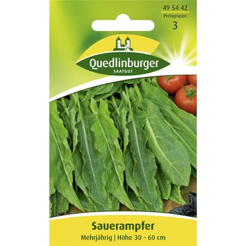 Quedlinburger Sauerampfer mehrjährig, 1 Tüte Samen von Quedlinburger