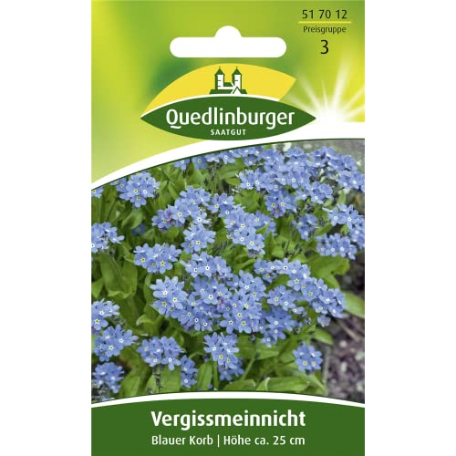 Quedlinburger Vergissmeinnicht 'Blauer Korb', 1 Tüte Samen Quedlinburger Vergissmeinnicht 'Blauer Korb', 1 Tüte Samen von Quedlinburger SAATGUT