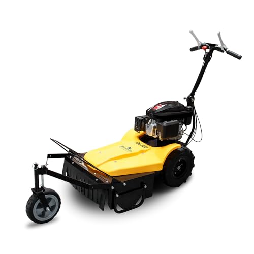 BAMATO Mulchmäher GM-200 mit LONCIN Motor | 3,6 kW Leistung | Qualitätsmesser | 550 mm Mulchbreite | Reifen mit Ackerstollenprofil | 30-100mm Schnitthöhe | Mulcher Benzinmulchmäher von BAMATO