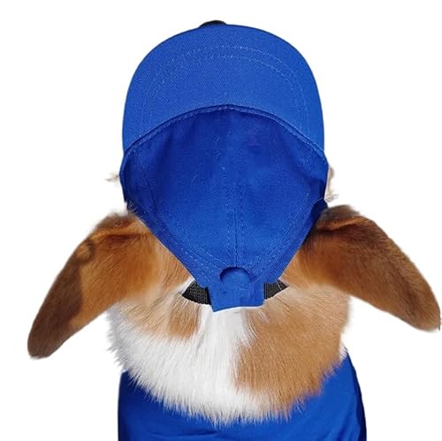 Hundemütze,Hunde Cappy Bestickte Baseballkappe for Hunde mit Namen, süße Sonnenkappe, verstellbare Sommermütze Haustiere kleine bis große(Blue4,Samll) von BANGHA