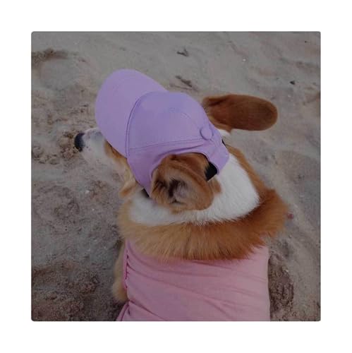 Hundemütze,Hunde Cappy Bestickte Baseballkappe for Hunde mit Namen, süße Sonnenkappe, verstellbare Sommermütze Haustiere kleine bis große(Purple,XLarge) von BANGHA