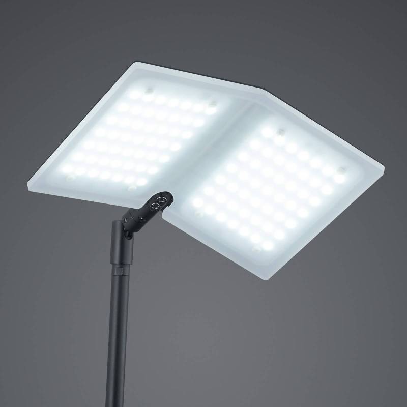 BANKAMP Book LED-Stehleuchte schwarz von BANKAMP