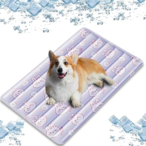 BANTASE Katzen Kühlmatte Haustier Kühlmatte, Selbstkühlendes Pad Schlafunterlage for Hunde Und Katzen Im Heißen Sommer, for Katzenwelpen(D,Small) von BANTASE