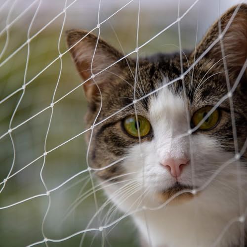 Katzennetz Für Balkon & Fenster - 8 X 3 M - Balkonnetz Transparent Und Reißfest - Extragroßes Und Langlebiges Katzenschutznetz Inkl. Montagematerial(4x3M) von BANTASE