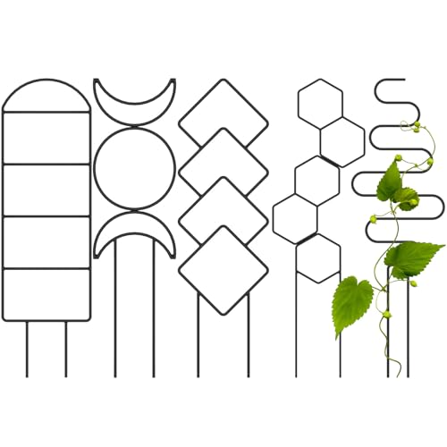 BAODBF 5 Stück Rankhilfe Zimmerpflanzen,Rankgitter Metall,Pflanzenstütze für Topf,Rankhilfe Garten für Blumenbeete,Topfpflanzen von BAODBF