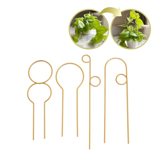 4 Stück Metall Pflanzen Indoor-Spalier, Stilvolle Metall Kletter Pflanze Gitter Topfpflanzen Unterstützung für Efeu Reben Blume (Gold) von BAOFUYA