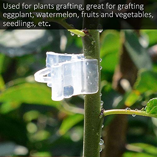 BAOFUYA 100pcs Vine Fixe Clips, Bestehend aus Hochwertigem Kunststoffmaterial, Leichter und Einfacher Struktur, Einfach zu Bedienen für Pflanzen, die den Zapfen transplantieren. T BAOFUYA 100pcs Vine Fixe Clips, Bestehend aus Hochwertigem Kunststoffmaterial, Leichter und Einfacher Struktur, Einfach zu Bedienen für Pflanzen, die den Zapfen transplantieren. T von BAOFUYA