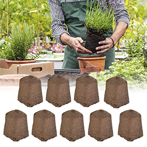 BAOFUYA 50 Stück Wachstumsstöpsel Seed Starter Rapid Rooter Plugs Wachstumsschwämme für Indoor Hydroponic Growing System von BAOFUYA