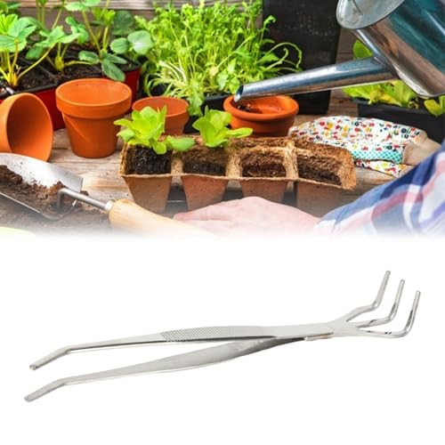 BAOFUYA Edelstahl-Bonsai Gartenwerkzeug, Wurzel Rake Pinzern 2-in-1, Ergonomischer Griff Alle Level-Anfänger, Glatt, Ideal für Bonsai-Enthusiasten BAOFUYA Edelstahl-Bonsai Gartenwerkzeug, Wurzel Rake Pinzern 2-in-1, Ergonomischer Griff Alle Level-Anfänger, Glatt, Ideal für Bonsai-Enthusiasten von BAOFUYA
