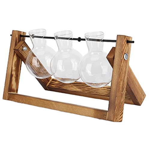 BAOFUYA Hölzerne Standardglas Vase Terrarium Eleganter Pflanzenhalter für Home Office Dekoration Wohnzimmer Schlafzimmer Küchencafé (Retro -Rack + DREI Flaschen) von BAOFUYA