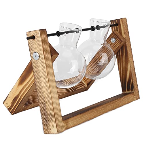 BAOFUYA Hölzerne Standardglas Vase Terrarium Eleganter Pflanzenhalter für Home Office Dekoration Wohnzimmer Schlafzimmer Küchencafé (Retro -Rack + Doppelflasche) von BAOFUYA