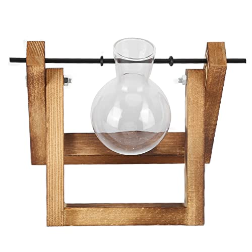 BAOFUYA Hölzerne Standardglas Vase Terrarium Eleganter Pflanzenhalter für Home Office Dekoration Wohnzimmer Schlafzimmer Küchencafé (Retro -Rack + Einzelflasche) von BAOFUYA