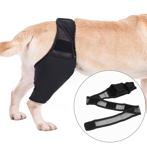BAOFUYA Hundekniegelaste, Beschleunigung der Genesung und Blutkreislauf Hundeklammer Hinterbein für Patella Luxation Reduzieren Schmerzen (XL) von BAOFUYA