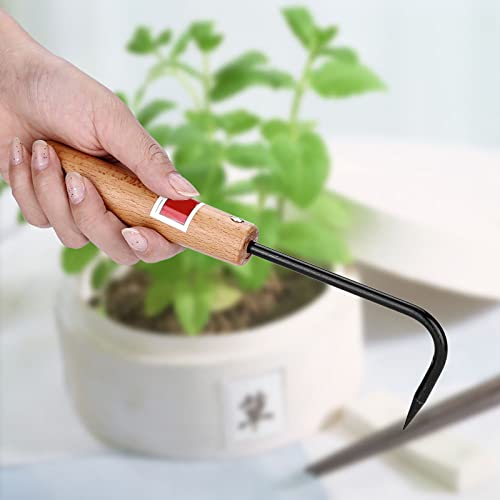 BAOFUYA Wurzel -Pick -Rake mit Stahlgarten Graben, Bonsai Hook Holzgriff Unkraut für Topfgarten Repott Werkzeugarbeit BAOFUYA Wurzel -Pick -Rake mit Stahlgarten Graben, Bonsai Hook Holzgriff Unkraut für Topfgarten Repott Werkzeugarbeit von BAOFUYA