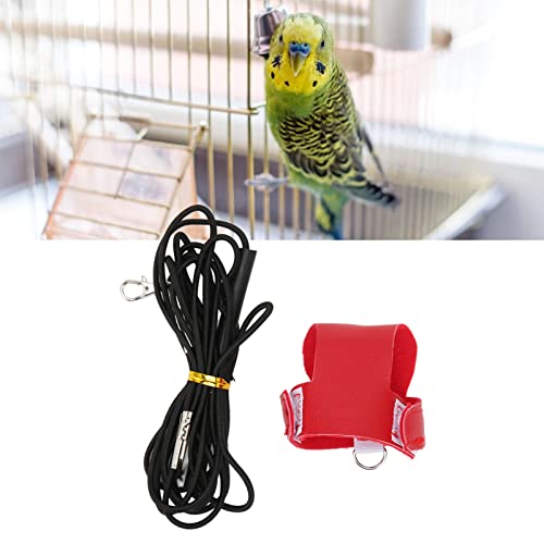 Papageien Geschirr und Leine Leder Papageien Fluganzug Vogel Fluggeschirr Weste mit Leine für Vogelpapageien Kakadus Aras (L) von BAOFUYA