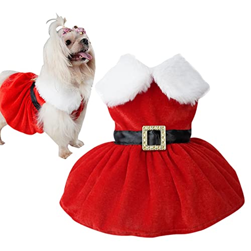 BAOK Hund Santa Weihnachtskleidung | Haustier Weihnachten Kostüme Hundeanzug | Lustige Haustier Cosplay Kleidung Gold Samt Stoff Hund Kostüm Anzug Welpe Party Kostüm Hund Katze Warm Winterkleid von BAOK