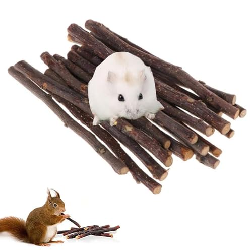 Hamster Kauspielzeug, Kaninchen-Kauspielzeug,Holz Kaustock, Nager Apfel Holz Zum Knabbern, Natürlichem Apfelstab, Kaustangen, Backenzahn Und Zähneknirschspielzeug Für Kleine Haustiere (12pcs) von BAOSROY