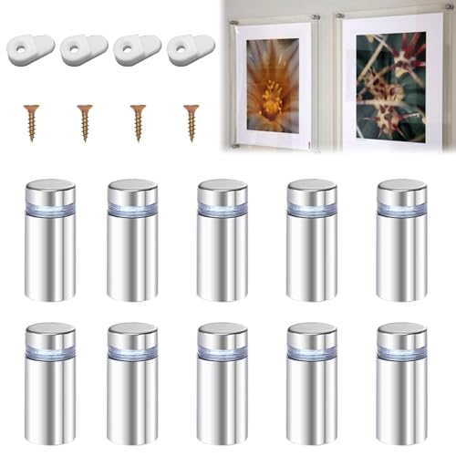 BAOSROY Edelstahl Wand Abstandshalter, 10pcs Werbeschraube Nagel, Schilderhalter, für Montieren Befestigung Glas Spiegel, Silber von BAOSROY