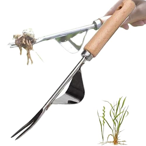 BAOSROY Unkrautstecher Edelstahl,Manueller Unkrautjäter,Wurzeljäter mit Holzgriff,Fugenkratzer mit Stiel,Fugenkratzer Unkraut Garten,Fugenreiniger Unkrautkratzer Manueller Weeder,für Jäten,Lösen BAOSROY Unkrautstecher Edelstahl,Manueller Unkrautjäter,Wurzeljäter mit Holzgriff,Fugenkratzer mit Stiel,Fugenkratzer Unkraut Garten,Fugenreiniger Unkrautkratzer Manueller Weeder,für Jäten,Lösen von BAOSROY