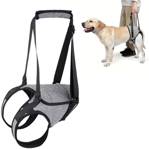 Tragehilfe Hund,Gehhilfe für Hunde,Haustierunterstützung,Tragbares Hundegeschirr für Hinterbeine,Hundehebegeschirr,Verstellbares Hunde Aufzugsgeschirr,Hunde Tragegeschirr,XL Tragehilfe Hund,Gehhilfe für Hunde,Haustierunterstützung,Tragbares Hundegeschirr für Hinterbeine,Hundehebegeschirr,Verstellbares Hunde Aufzugsgeschirr,Hunde Tragegeschirr,XL von BAOSROY
