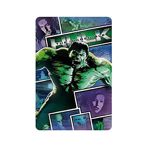 Hulk Bruce Banner Mark Ruffalo Hero Movie 13 Blechschild Vintage Metall Pub Club Cafe Bar Home Wandkunst Dekoration Poster Retro 30 x 20 cm von BAOZHI
