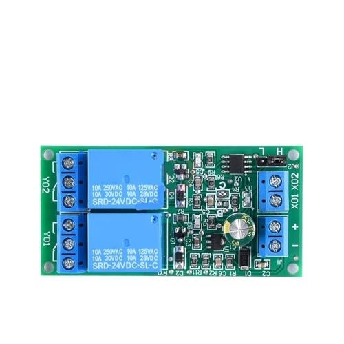 DC 5V 12V 24V 2 Selbsthemmende/Verriegelung Relais Modul 10A Schalter Controller Power Verbindung Reverse schutz(24V) von BAPPRJJ