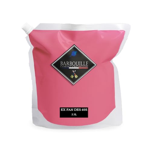 BARBOUILLE - Acrylfarbe Ex Fan Des 60's – Samt-Optik – Wandfarbe, Decke & Holzarbeiten – abwaschbar – Trocknen in 30 Minuten – VOC A+ – hergestellt in Frankreich – 2,5 l von BARBOUILLE