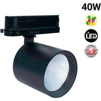 Barcelona Led - led 3-Phasen-Schienenstrahler 40W - Obst und Gemüse - Philips von BARCELONA LED
