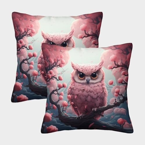 BARDYS Eule 2er Set Kopfkissenbezug Sofakissen Zierkissenbezüge für Sofa Stuhl Bett Garten 40x40cm von BARDYS