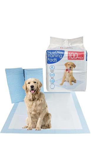 Bargain Factory - Pet Töpfchentrainingspads 100 Stück für Hunde Welpenunterlagen - 5 Schichten Supersaugfähig Wasserdicht - 56 x 56 cm - Einweg Puppy Pee Pads Bargain Factory - Pet Töpfchentrainingspads 100 Stück für Hunde Welpenunterlagen - 5 Schichten Supersaugfähig Wasserdicht - 56 x 56 cm - Einweg Puppy Pee Pads von BARGAIN FACTORY