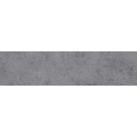 BARIDECOR AQUA Wandpaneel, Concreto Oscuro, BxL: 300 x 1200 mm - schwarz von BARIDECOR AQUA