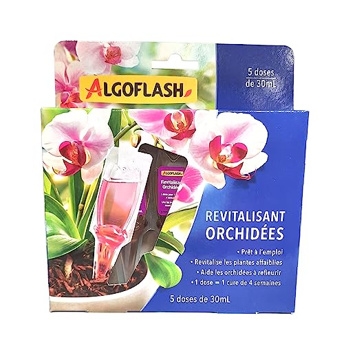 ALGOFLASH Monodose Revitalisierende Blumen auf Balkon und Terrasse, 5 Dosen, Monorchid, Violett von Algoflash