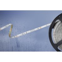 Barthelme Basic - 51540428 51540428 LED-Streifen mit offenem Kabelende 12 v 5 m Warmweiß 1 St. von BARTHELME BASIC