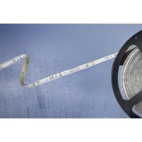 Barthelme Basic - 51540433 51540433 LED-Streifen mit offenem Kabelende 12 v 5 m Neutralweiß 1 St. von BARTHELME BASIC