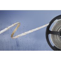 Barthelme Basic - 51540133 51540133 LED-Streifen mit offenem Kabelende 24 v 5 m Neutralweiß 1 St. von BARTHELME BASIC