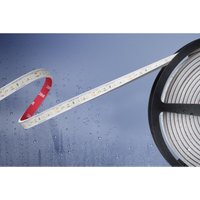 Barthelme Basic 51540533 51540533 LED-Streifen mit offenem Kabelende 24 V 5 m Neutralweiß 1 St. von BARTHELME BASIC