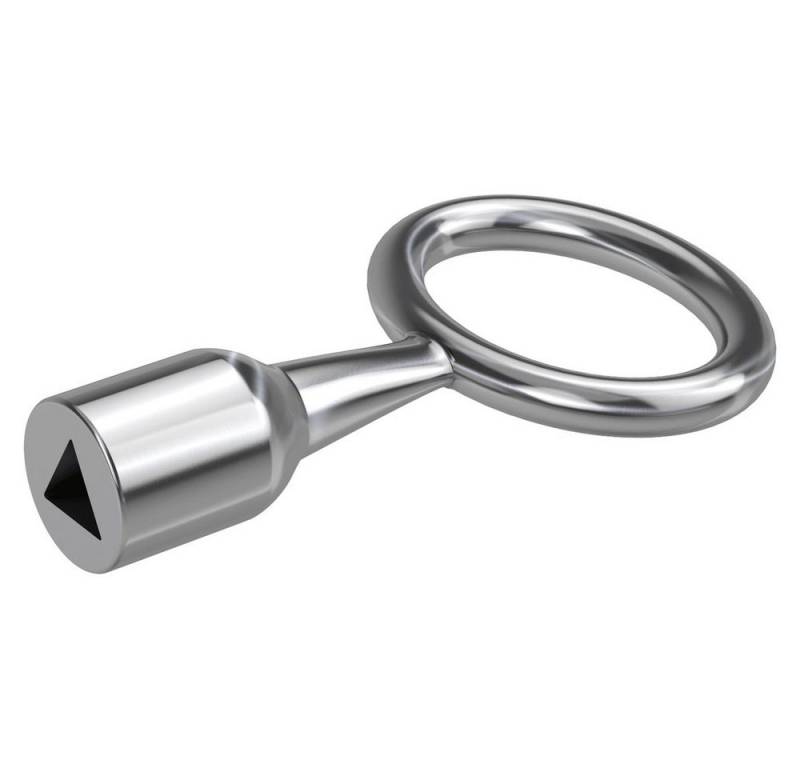 BASI Türriegel Basi 301D-8 Dornschlüssel Silber von BASI