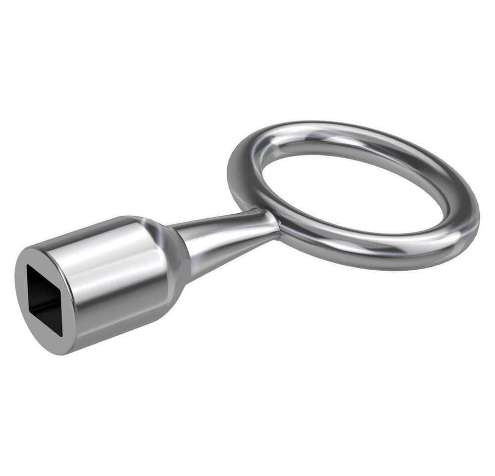 BASI Türriegel Basi 301V-9 Dornschlüssel Silber BASI Türriegel Basi 301V-9 Dornschlüssel Silber von BASI