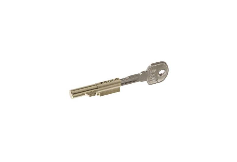 BASI Türriegel Schlüssellochsperrer für Buntbart-Schlösser, (Packung, 1-tlg), Einzelschließend, Sicherung BB-Schloss, 1 Stück, 2 Schlüssel von BASI
